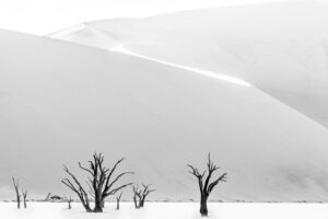 a96y0473