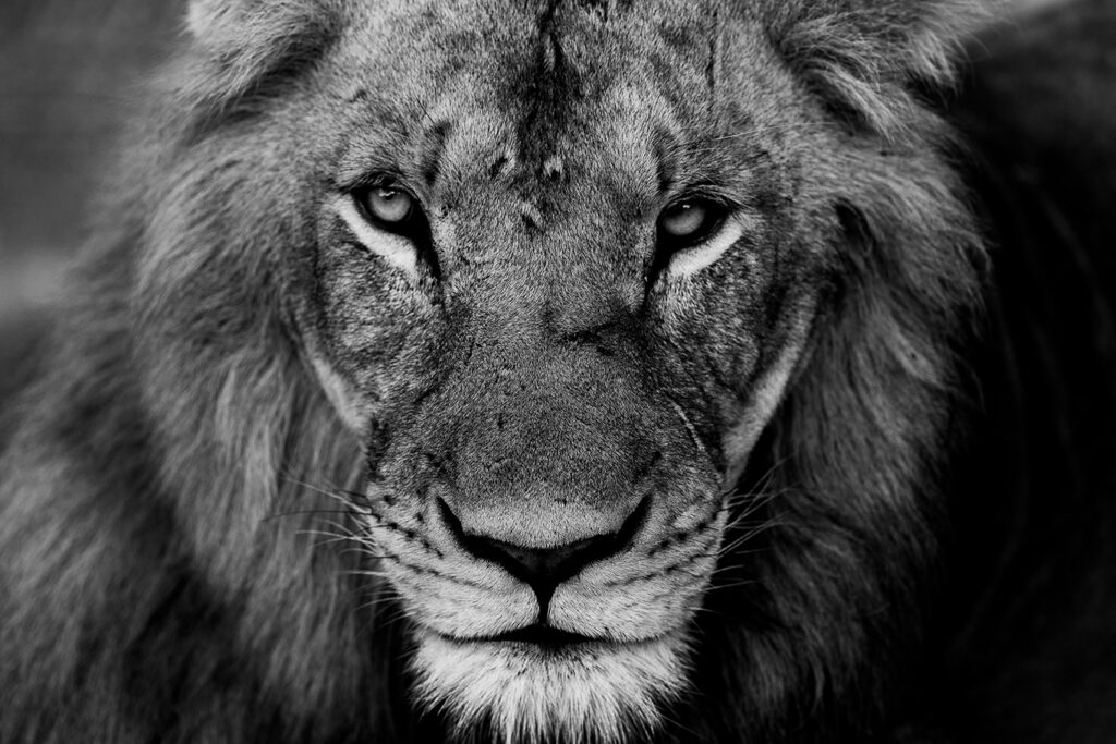 knp21 2242 edit